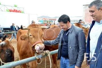 Los Llanos de Telde, en el día grande de sus fiestas patronales de 2019 (Foto Francisco Javier Santana)